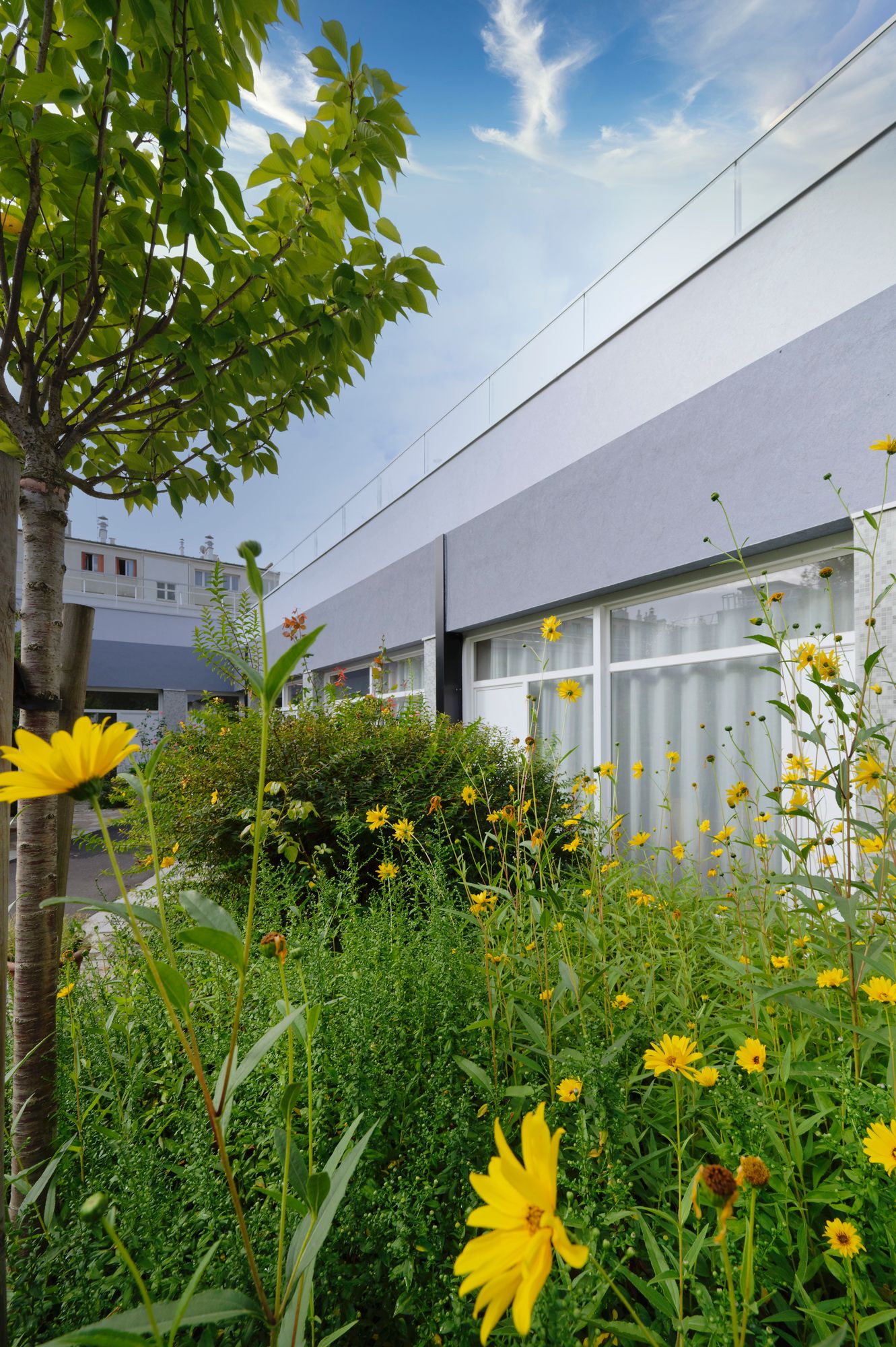 cuadra architectes Réhabilitation ERP