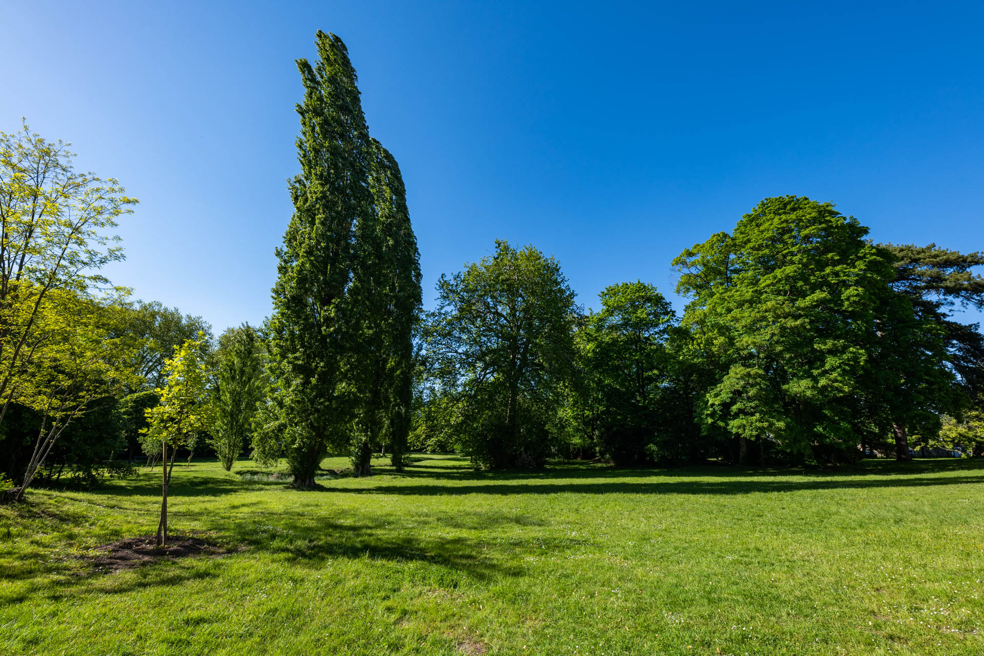 cuadra architectes Restructuration ERP