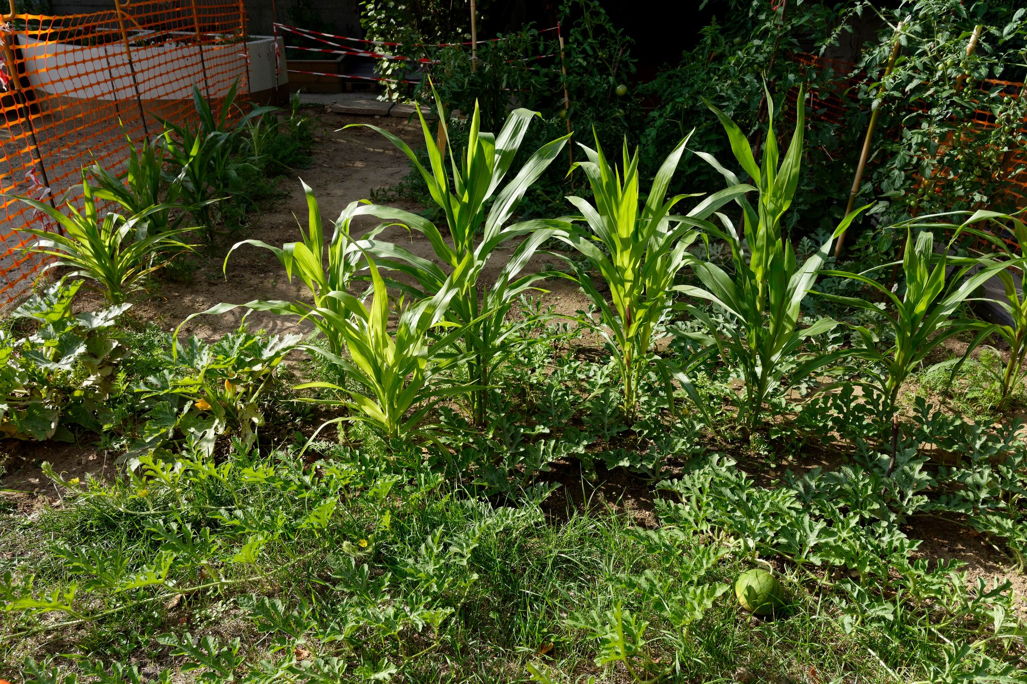 cuadra architectes Réhabilitation Logement