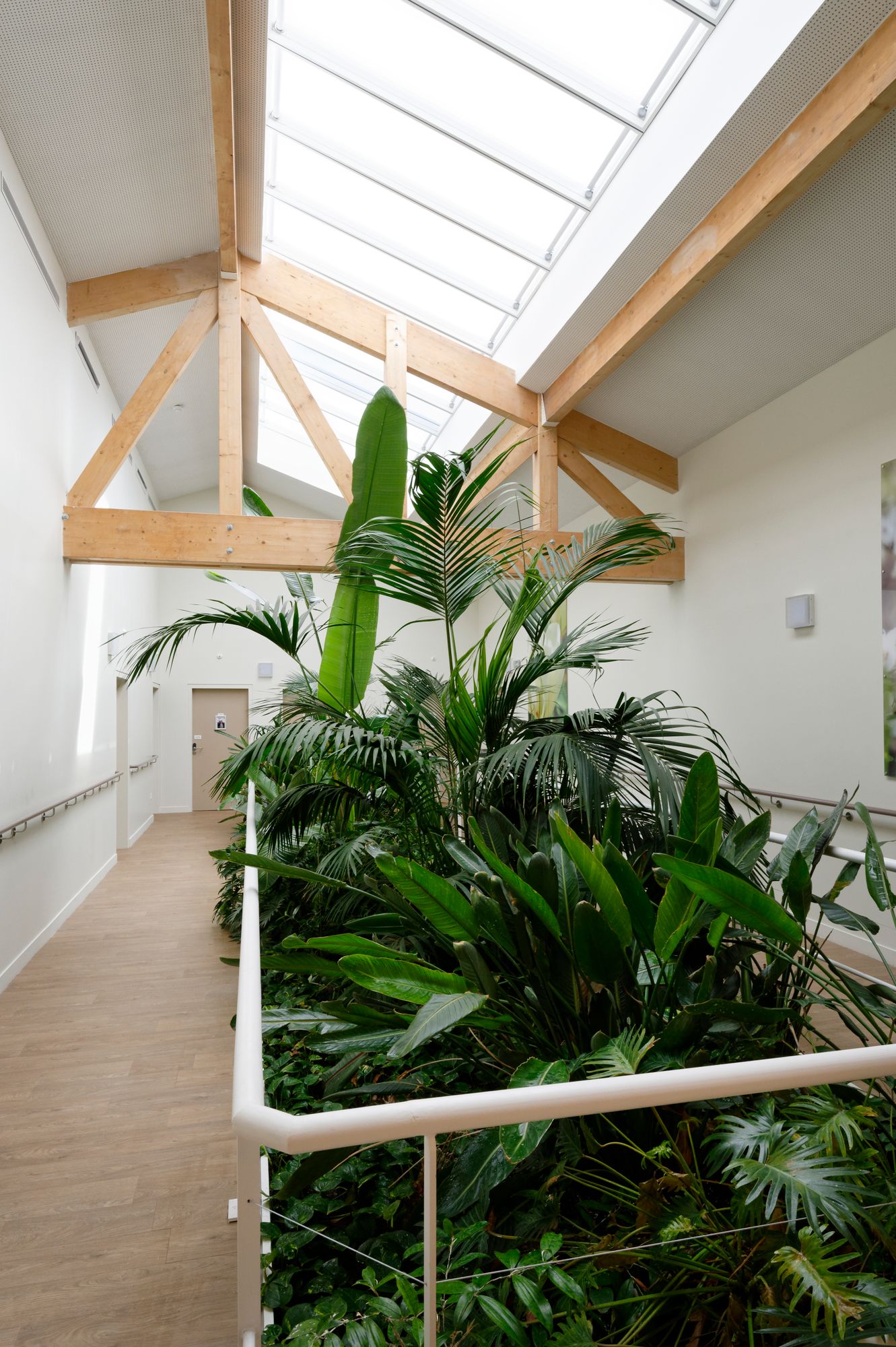 cuadra architectes Neuf ERP