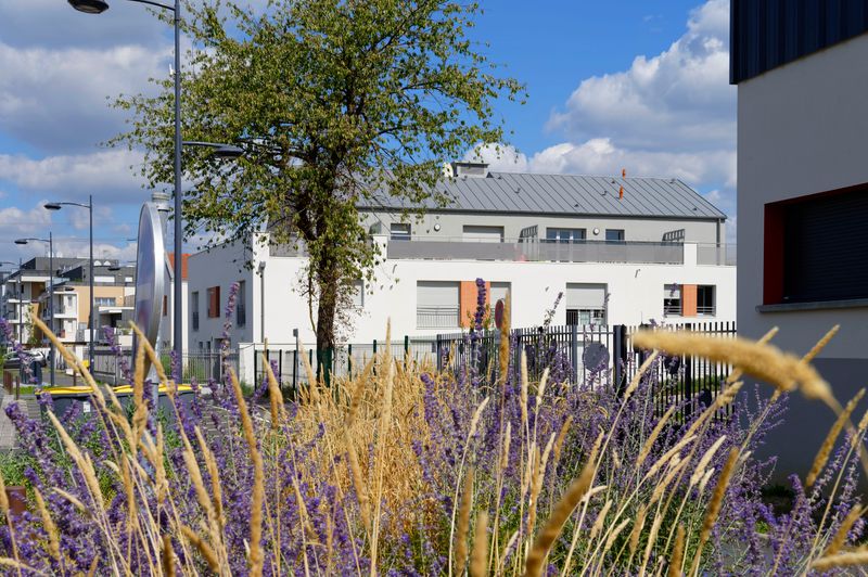 cuadra architectes Neuf Logement