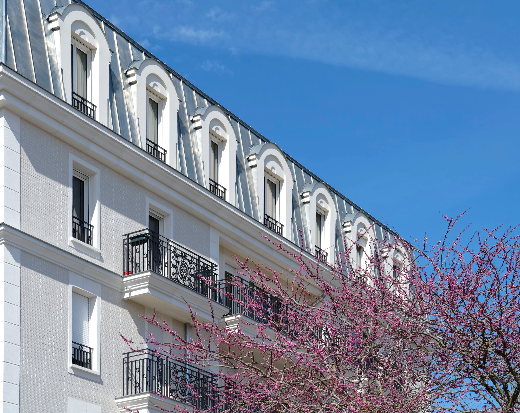 cuadra architectes Neuf Logement