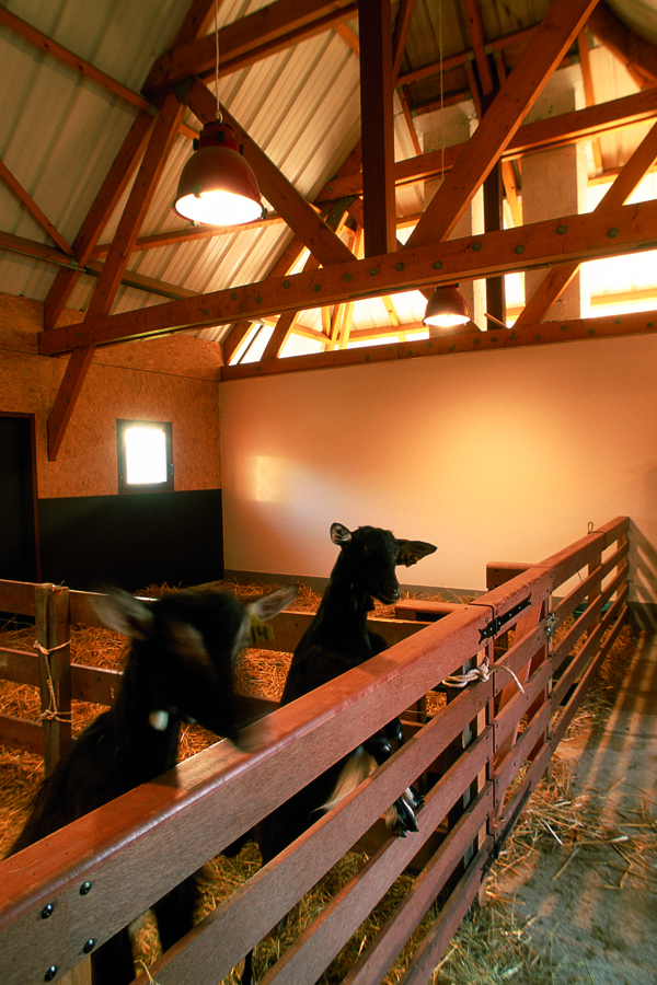 cuadra architectes Neuf ERP